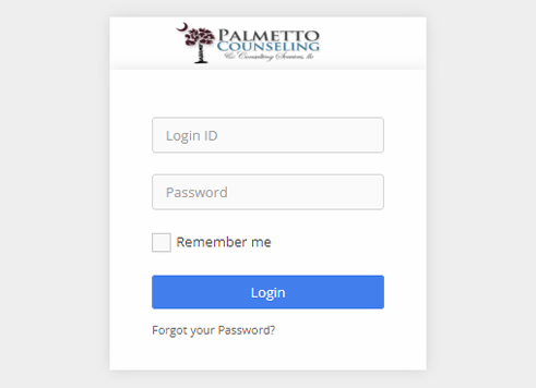 Palmetto-Counseling-Client-Portal-Login-Step2