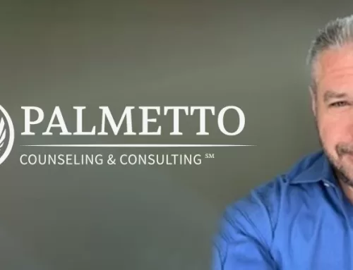 Update Palmetto Counseling 9.26.23